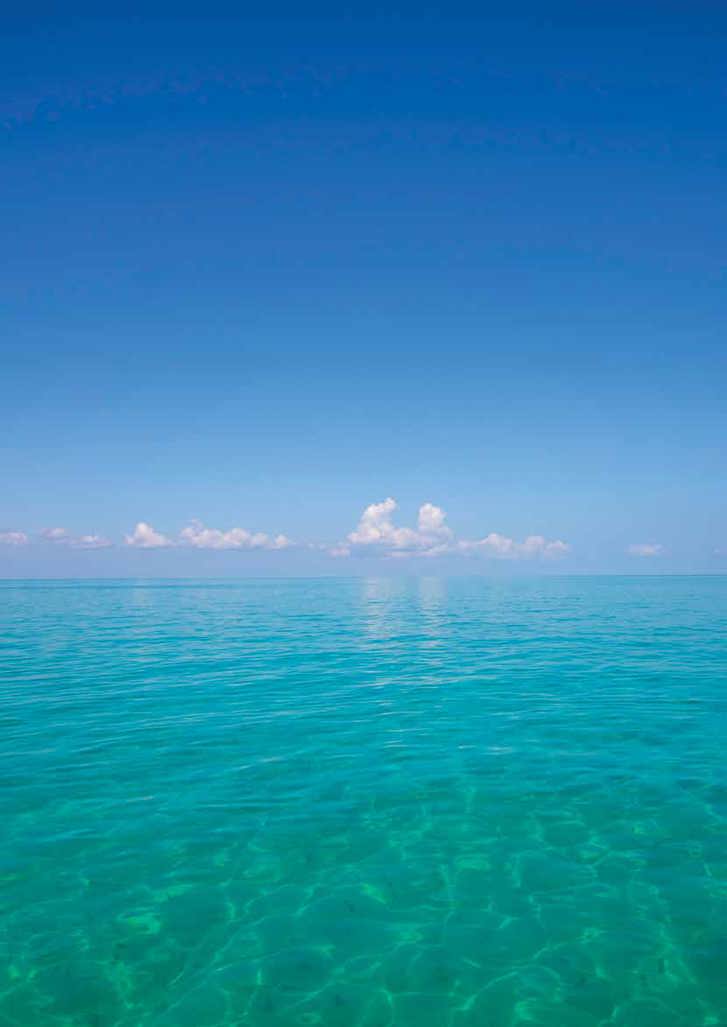 Suriname Shallow Offshore Bid Round 2023 Virtual Data Room Opened